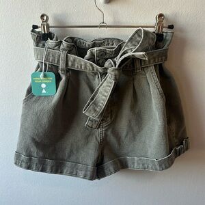 American Eagle Shorts size 2 green